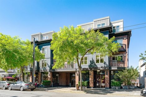 Willows on Tenth